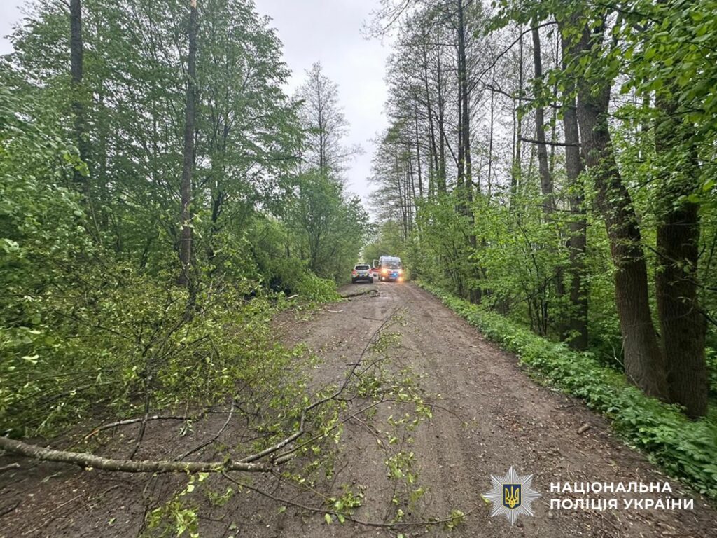 Фото до матеріалу: Двох чоловіків поховали після смертельного тарану дерева на Малинщині