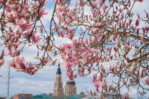 Фото до матеріалу: З Харкова до Івано-Франківська: вперше вирушив спеціальний дитячий вагон