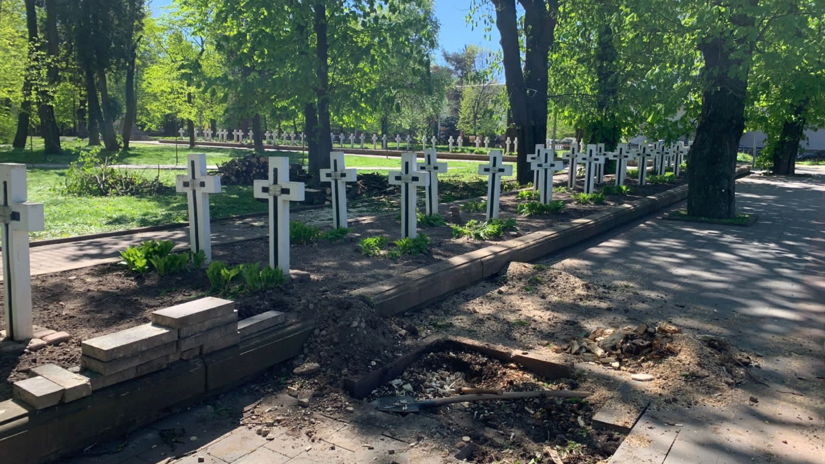 Фото до матеріалу: Вітер пошкодив 14 дахів та повалив 34 дерева в Івано-Франківську