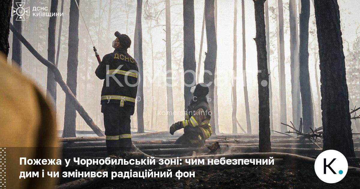 Фото до матеріалу: Лісова пожежа в Чорнобильській зоні: еколог про небезпеку диму та стан радіаційного фону