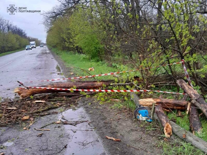Фото до матеріалу: У Кременчуці вітер пошкодив дахи кількох закладів освіти: на їх ремонт виділять гроші