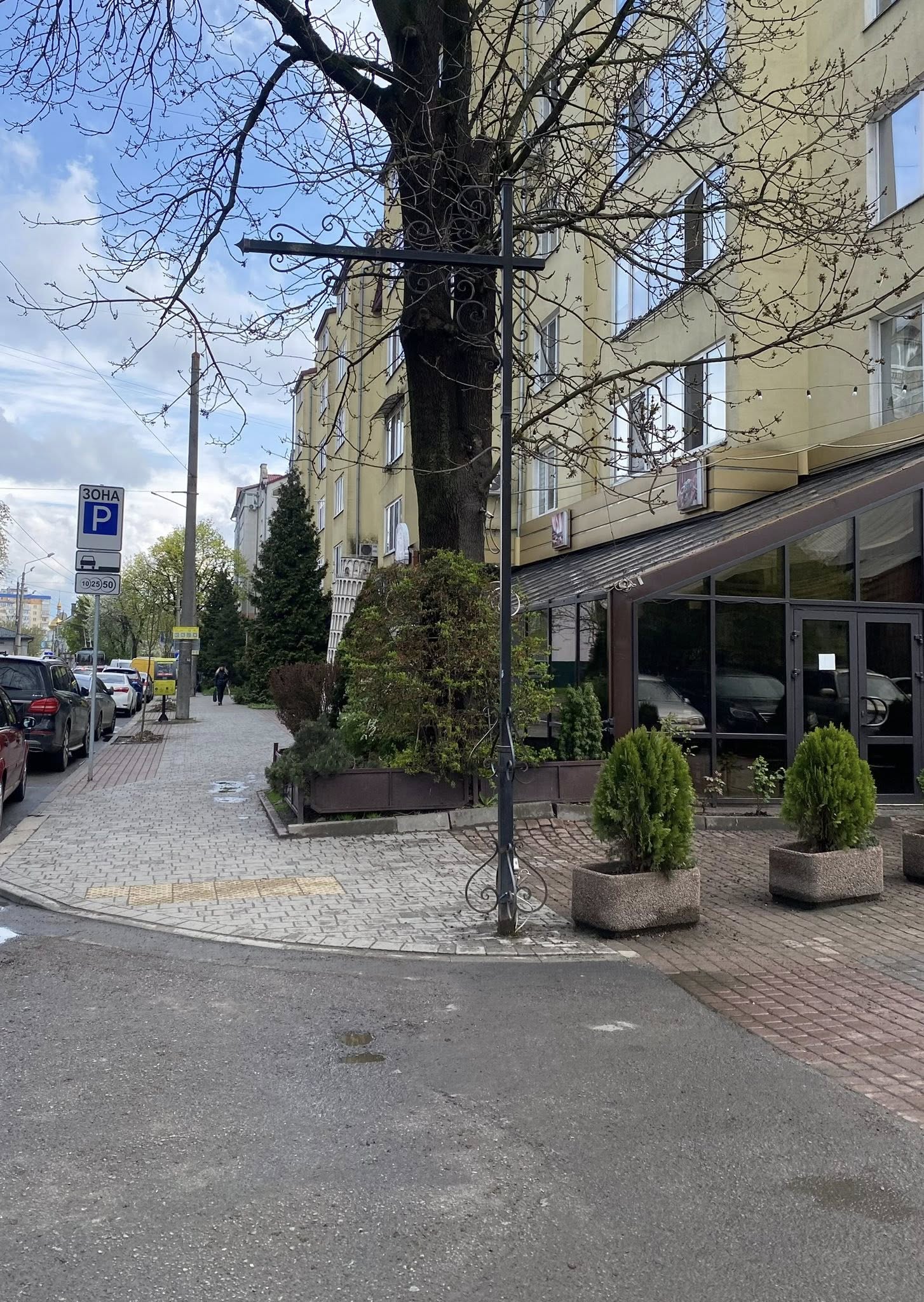 Фото до матеріалу: У Франківську висаджують липи: де з’явилися нові дерева (ФОТО)