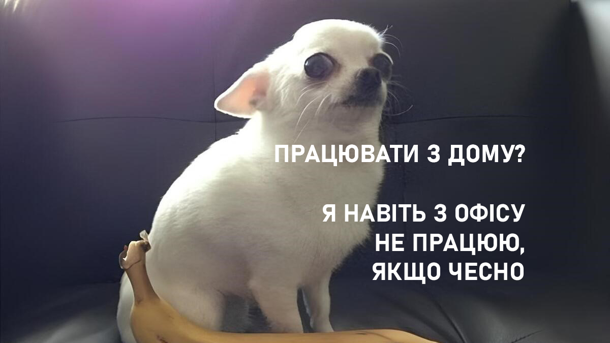 Фото до матеріалу: Як меми про роботу допомагають не вигоріти: секретна зброя офісних працівників