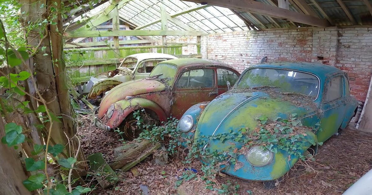 Фото до матеріалу: У британській глибинці виявили покинуту колекцію Volkswagen 60-х і 70-х років