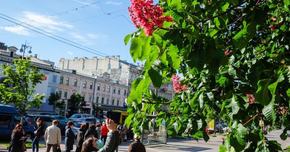 Фото до матеріалу: Погода в Києві 2-3 травня: нічні заморозки та +18 градусів вдень