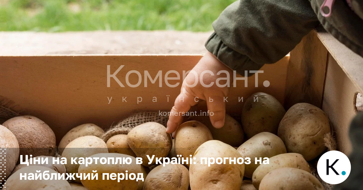 Фото до матеріалу: Прогноз цін на картоплю в Україні: чого чекати споживачам у найближчі місяці