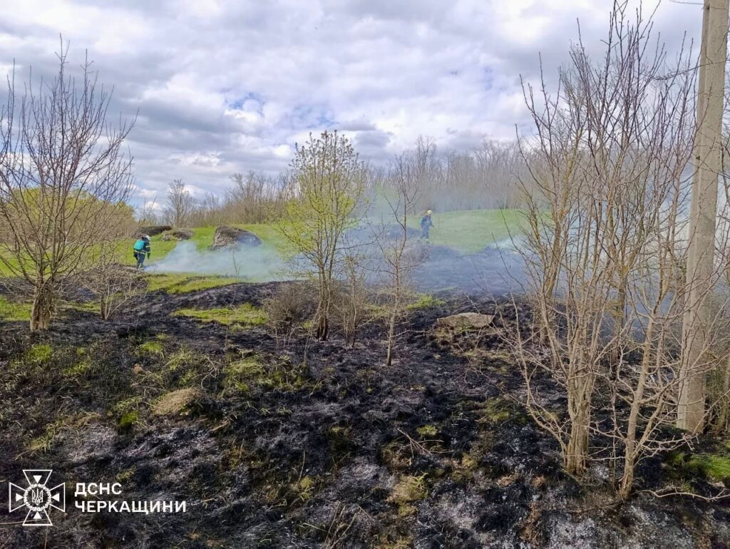 Фото до матеріалу: На Черкащині вигоріли гектари трави через необережність і дитячі пустощі