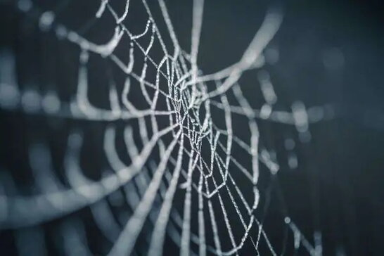 Фото до матеріалу: Вчені вперше відтворили доломіт у лабораторії після 200 років спроб