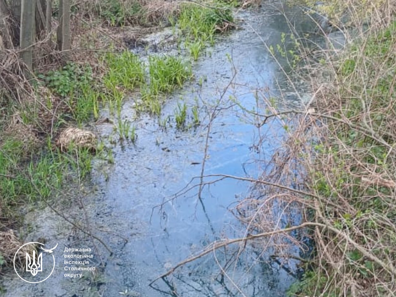 Фото до матеріалу: Витік невідомої речовини на Фастівщині: інспектори виявили забруднення ґрунтів