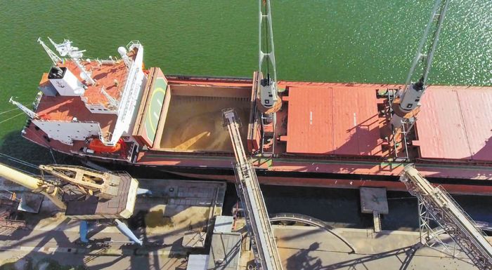 Фото до матеріалу: Росія продовжує незаконний експорт українського зерна до Єгипту