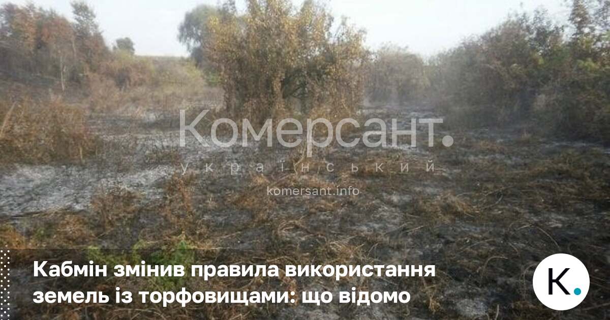 Фото до матеріалу: Кабмін змінив правила використання земель із торфовищами