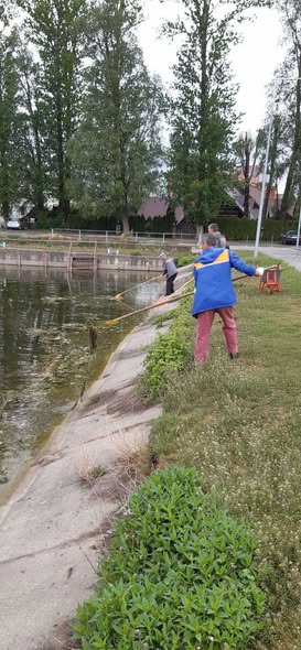 Фото до матеріалу: У Пасічній чепурять Німецьке озеро: комунальники підготовлять зону до сезону