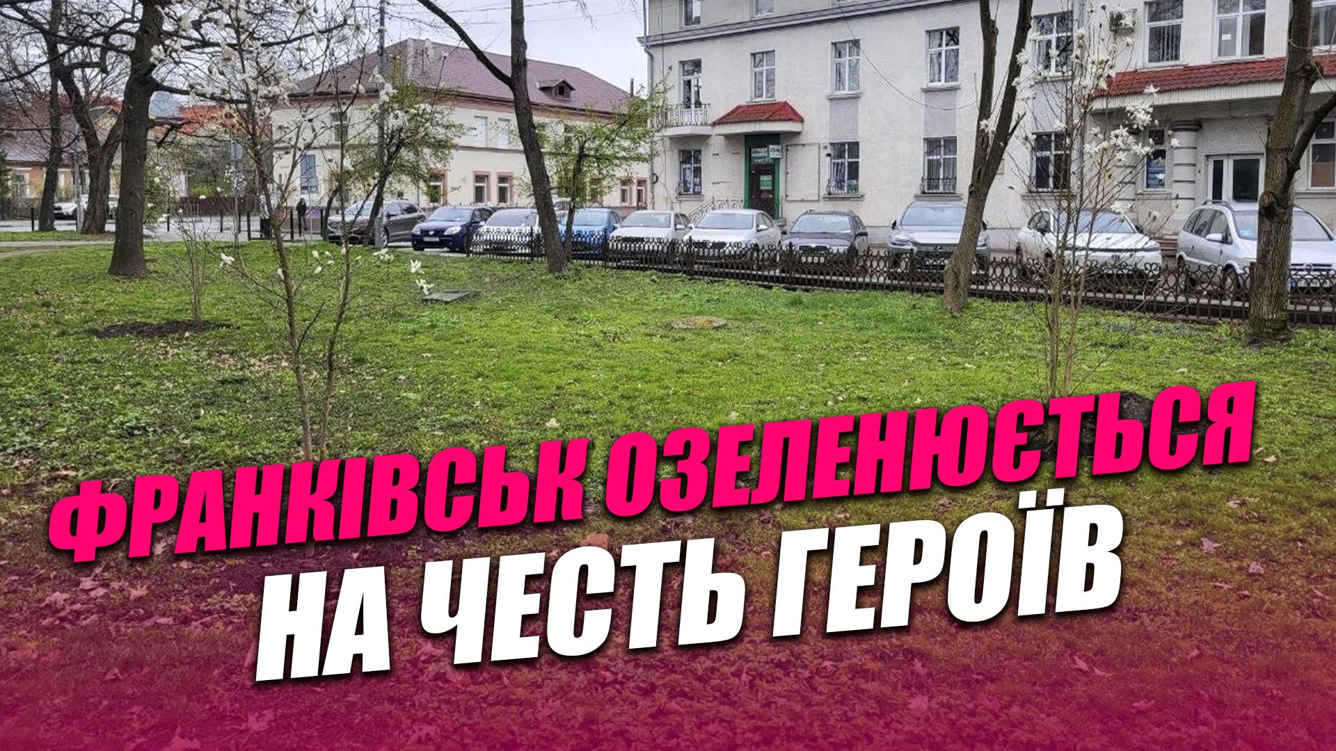 Фото до матеріалу: Івано-Франківськ роздає безкоштовні саджанці на честь Героїв
