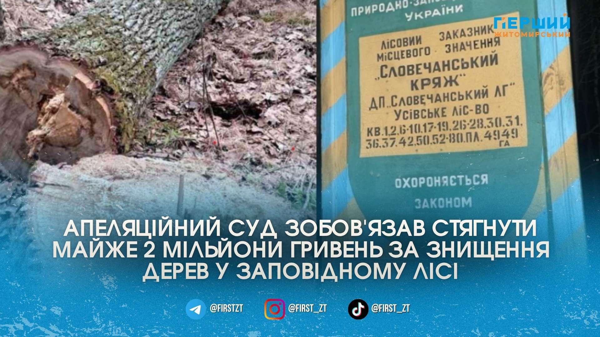 Фото до матеріалу: Розплата за незаконні рубки у Словечанському кряжі: з держпідприємства стягнуть два мільйони гривень штрафу