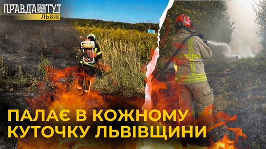 Фото до матеріалу: На Львівщині стартував міжнародний проєкт із боротьби з борщівником Сосновського