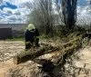 Фото до матеріалу: Щітецька гімназія у Вінниці перетворять на початкову школу
