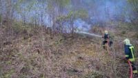 Фото до матеріалу: Лісова пожежа в Карпатах: горить урочище Кілиця, площа займання сягає 75 гектарів
