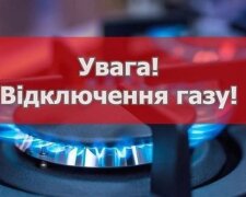 Фото до матеріалу: Потап і Настя Каменських оголосили про розлучення після 20 років спільного шляху