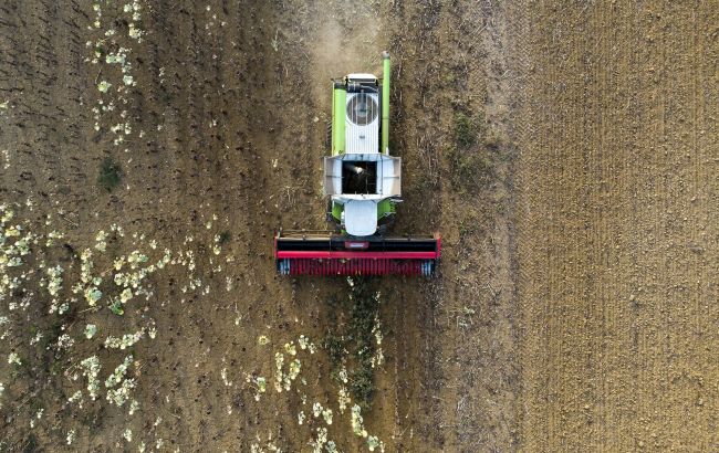 Фото до матеріалу: Україна нарощує валютну виручку від агроекспорту завдяки переробці