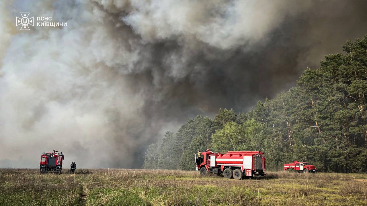 Фото до матеріалу: Лісова пожежа на Київщині: 100 гектарів знищено, вогонь локалізовано