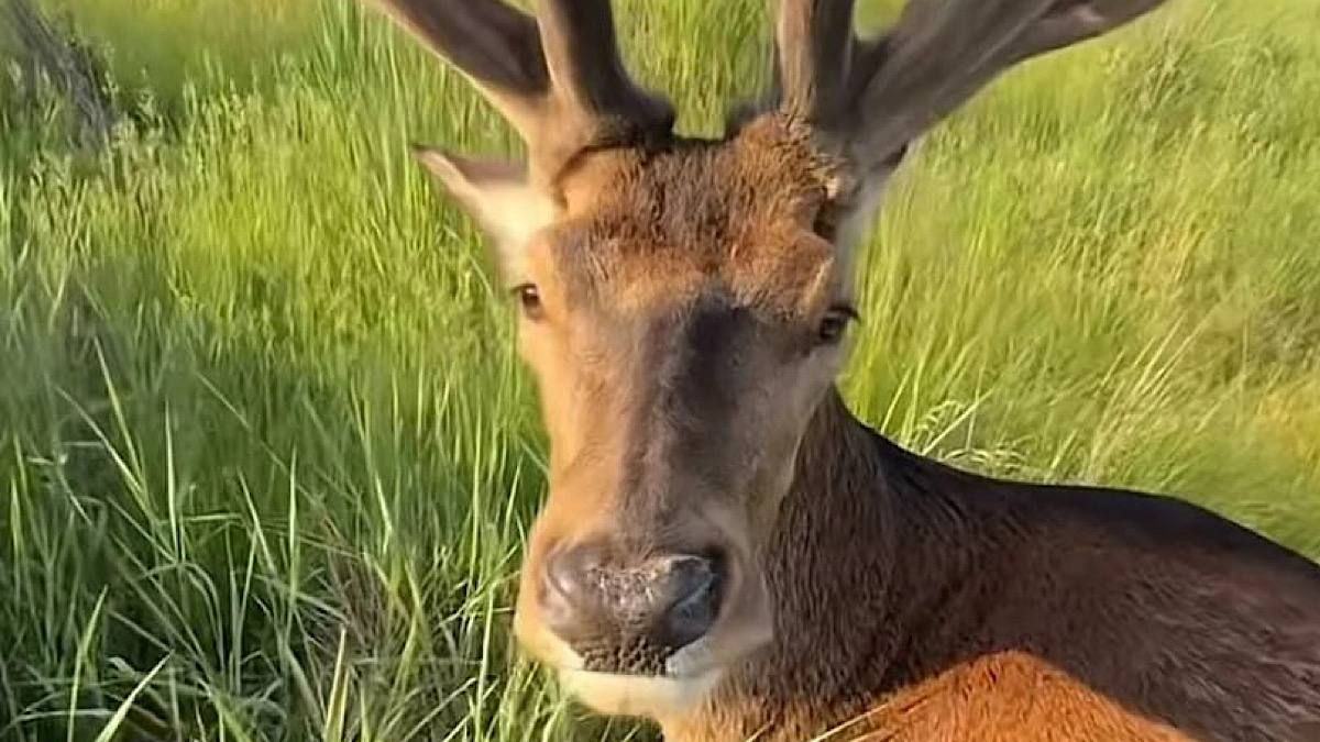Фото до матеріалу: У Києві відкрили інсталяцію з уламків ворожого озброєння: символ героїзму піхоти