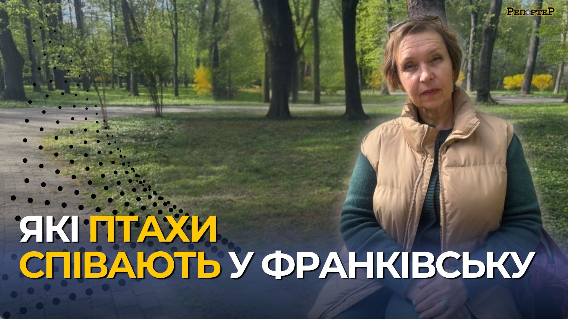 Фото до матеріалу: Птахи Франківська: як спостереження за ними допомагає людям і природі