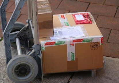Фото до матеріалу: Податок на посилки: Южаніна розповіла, як з українців стягуватимуть гроші й у чому ризики запропонованої системи