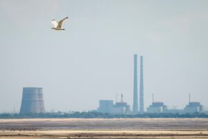 Фото до матеріалу: Війна на Запоріжжі: окупація та загроза наступу РФ