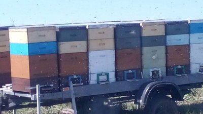 Фото до матеріалу: Зміни у русі на вул. Стрийській: з вівторка розпочнеться асфальтування