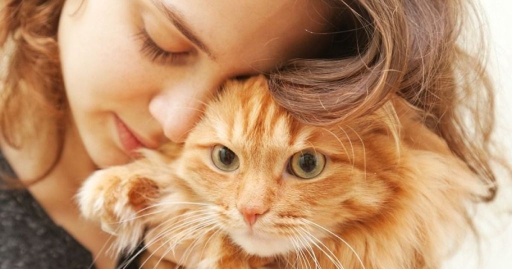 Фото до матеріалу: Коти не відчувають солодкого: як справді сприймають їжу тварини
