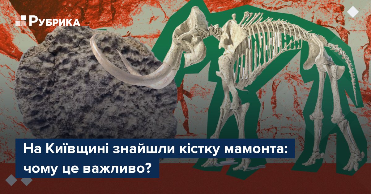 Фото до матеріалу: На Київщині знайшли кістку мамонта: чому це важливо?