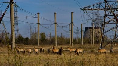 Фото до матеріалу: У Львові відбулося виїзне засідання комісії щодо колишнього палацу молоді «Романтик»