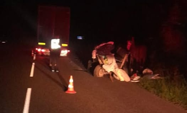 Фото до матеріалу: Травмовано керманича підводи у ДТП на Львівщині