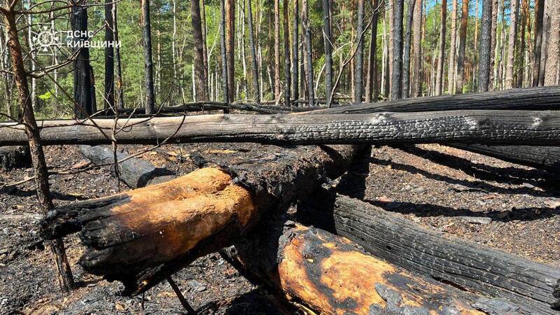 Фото до матеріалу: У Чорнобильській зоні гасять лісову пожежу на площі 1200 гектарів