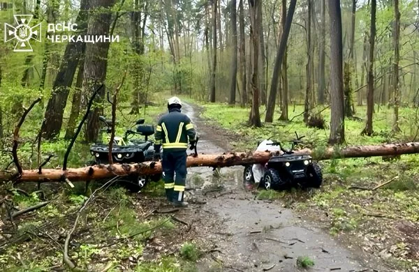 Фото до матеріалу: У Черкасах через падіння дерева загинула жінка