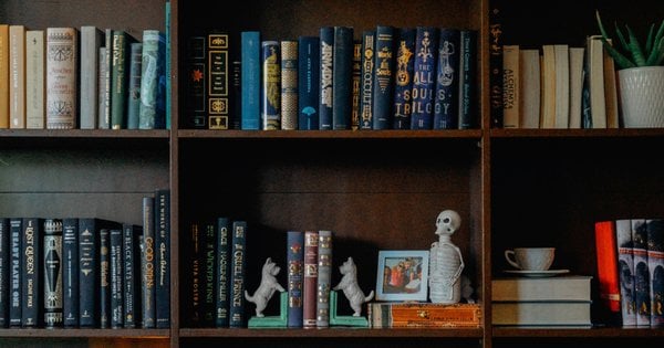 Фото до матеріалу: Чому варто регулярно чистити книги: поради експертів