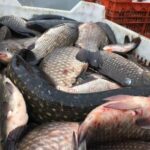 Фото до матеріалу: У Павлограді суд засудив 31-річного чоловіка до 12 років в'язниці за зґвалтування дитини