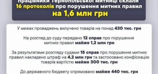 Фото до матеріалу: Семіро-Тернопольчане: чийе житло було пошкоджене атакою шабедів, отримують допомогу