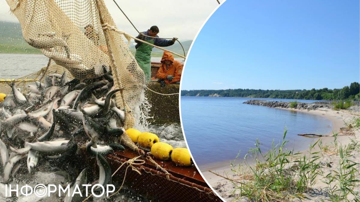 Фото до матеріалу: Держрибагентство дозволило виловити 1400 тонн риби в Київському морі: лоти отримали ті самі родини