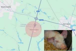 Фото до матеріалу: Як обрати універсальну тефлонову сковорідку для щоденного використання