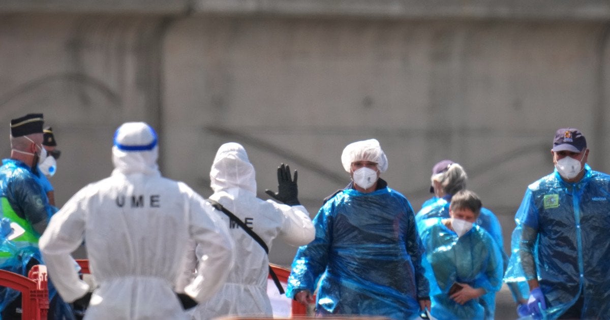 Фото до матеріалу: У ВООЗ забили на сполох через хантавірус: очікують нові зараження