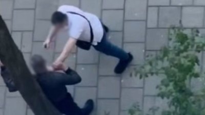 Фото до матеріалу: На Львівщині мама захистила від укусів бджіл дітей, а сама опинилася у реанімації