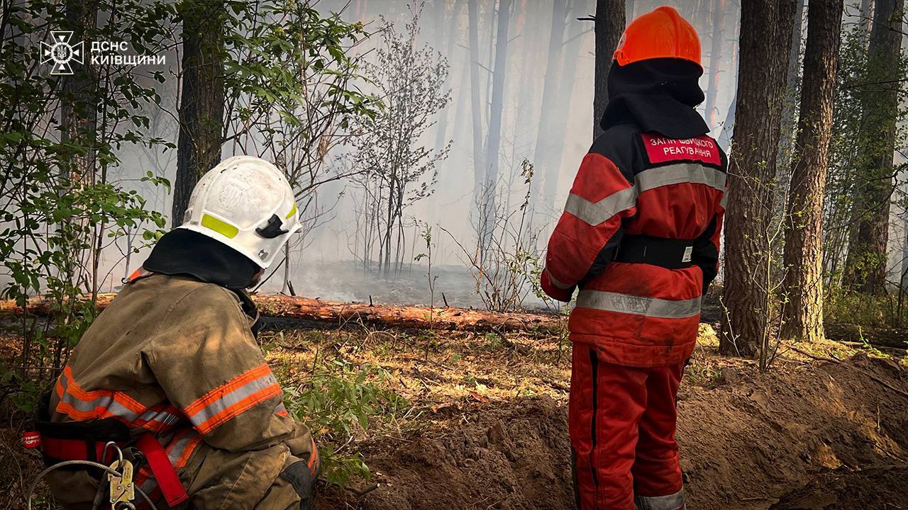 Фото до матеріалу: Лісова пожежа на Київщині: 100 гектарів знищено, вогонь локалізовано