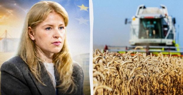 Фото до матеріалу: Вступ до ЄС: виклики для аграріїв Києва та майбутнє українських полів