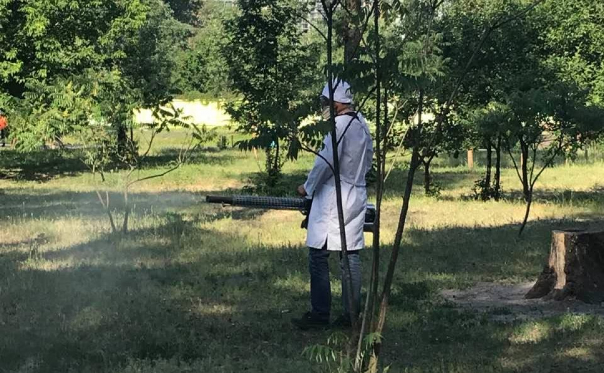 Фото до матеріалу: У Києві тимчасово закриють парк «Перемога»: графік обробки від кліщів