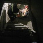 Фото до матеріалу: Як обрати доглядову косметику для волосся без переплат