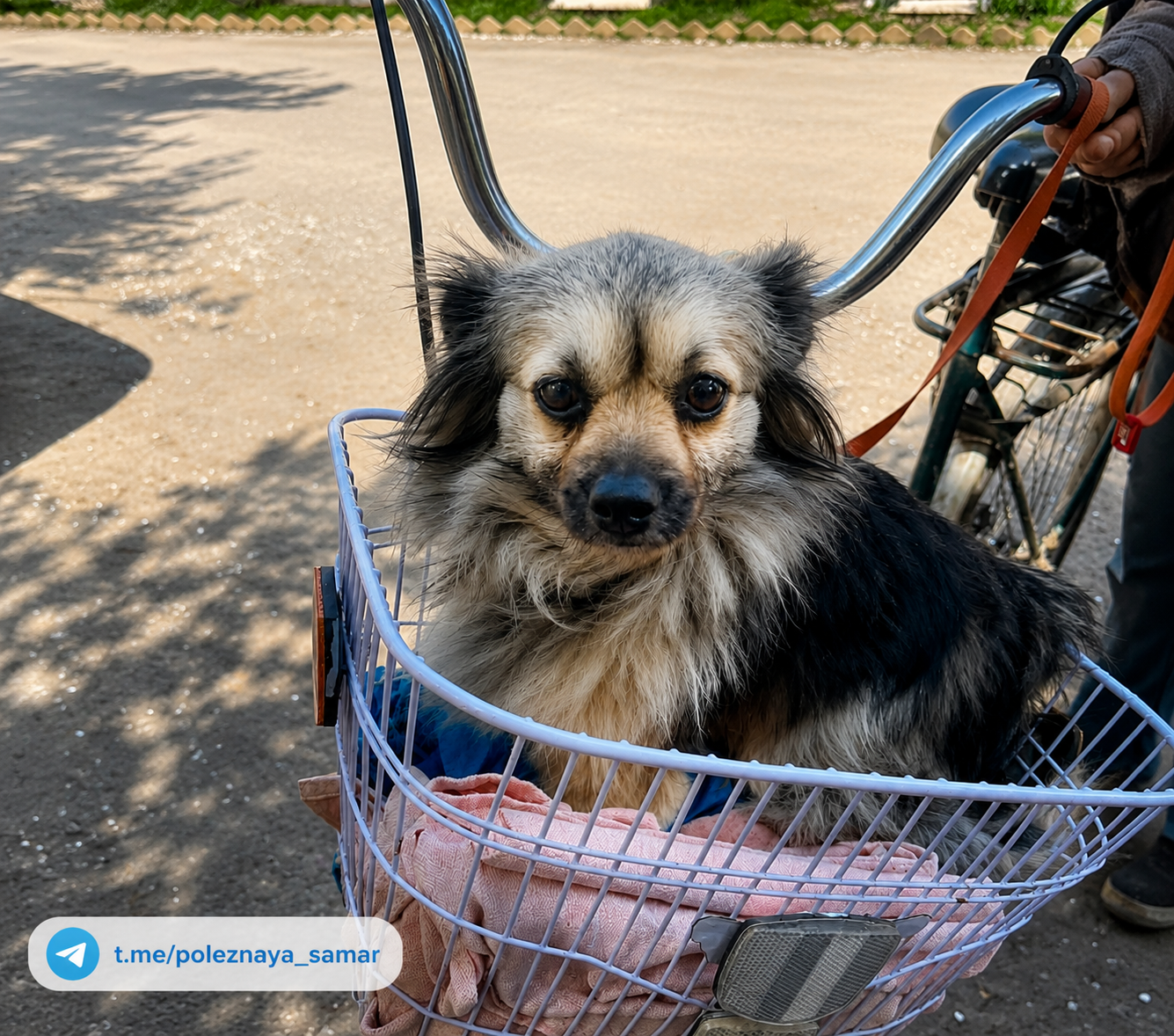 Фото до матеріалу: Футбольний турнір серед ветеранів у Самарі: «Авангард» здобув перемогу в серії пенальті