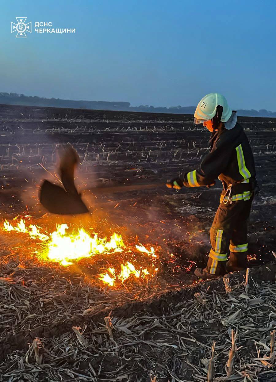 Фото до матеріалу: П'ятниця: пожежники загасили 14 займань на Черкащині