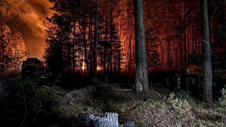 Фото до матеріалу: Понад 2 250 га вигоріло в Україні: ДСНС попереджає про небезпеку спалювання