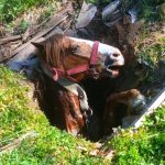 Фото до матеріалу: У Івано-Франківську поліція затримала п'яного чоловіка з ножем